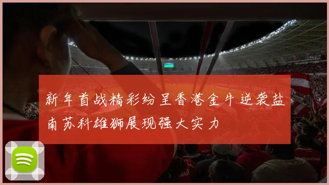 新年首战精彩纷呈香港金牛逆袭盐南苏科雄狮展现强大实力