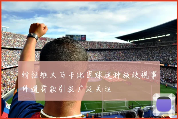特拉维夫马卡比因球迷种族歧视事件遭罚款引发广泛关注